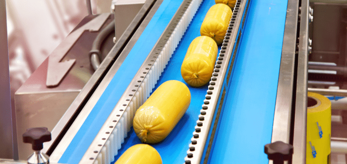 Food Grade Belt Conveyor